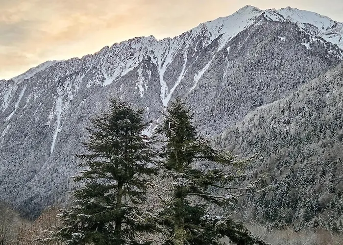 Feuille De Cimes Jacuzzi Et Sauna Le Sylvestre Apartment *